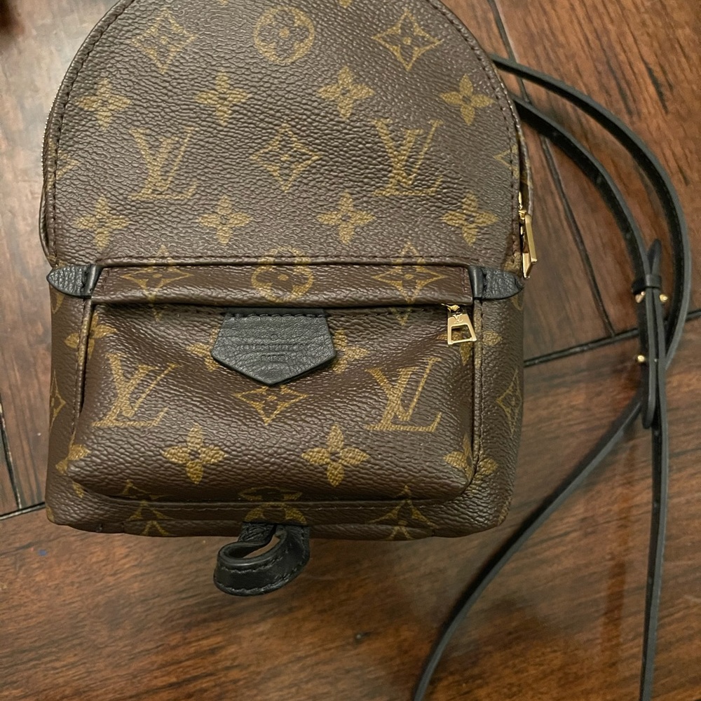 Louis Vuitton Palm Springs Mini - Picture 1 of 6